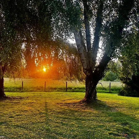 Les Mezerettes Maison Campagne Avec Jardin Et Cheminée, 4-5 Pers Hébergement de vacances *